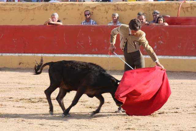 Ginés muy encajado toreando al natural.