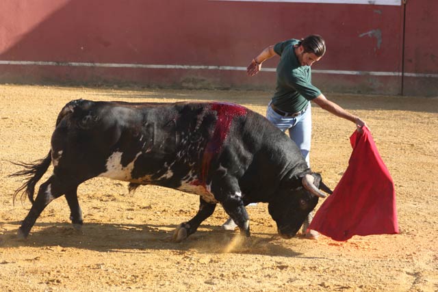 Inicio del de pecho.