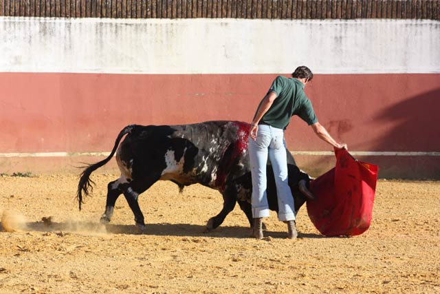 Figura erguida, talle partido.