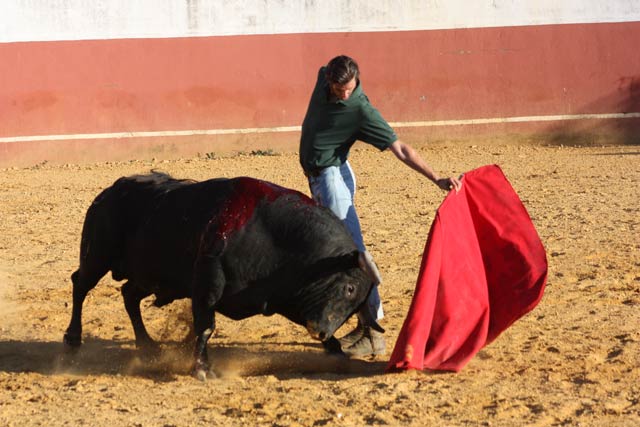 Buen ejempla de Arucci, para sentirse torero con él.