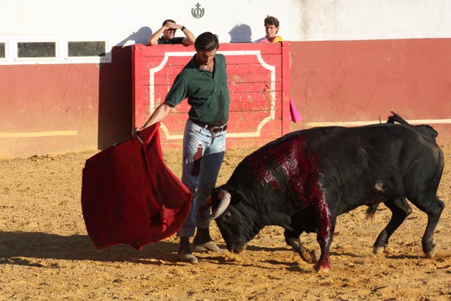 Tauromaquia mayestática de Lancho.