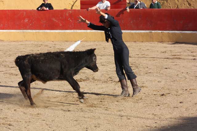 En banderillas armó un taco.