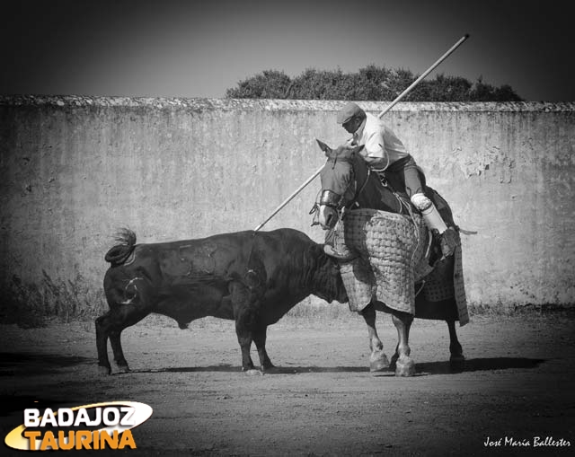 El picador probó la bravura del ejemplar.