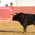 lancho–px-gmarin