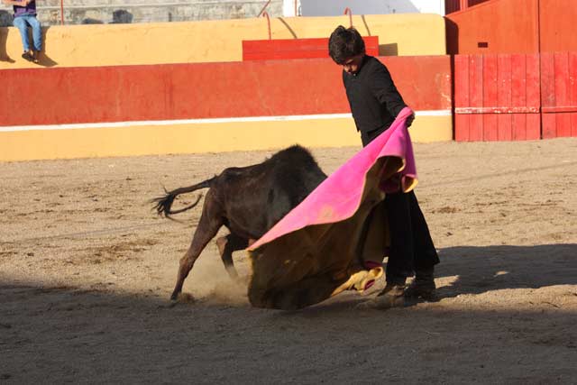 Luis Manuel  Terrón pechó con una vaca complicada.