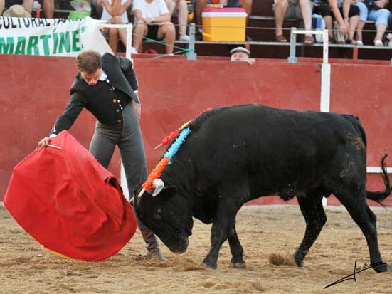 Jaime llevando al novillo toreado a media altura.