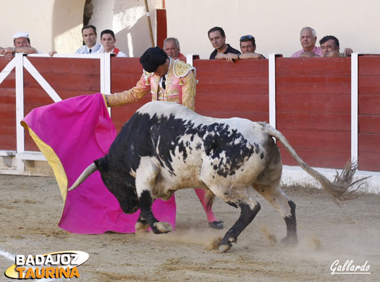 Ambel parando al primer berrendo de la tarde.