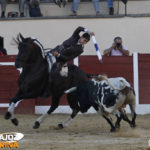 Al violín dejó dos buenas banderillas. (FOTO: Gallardo)