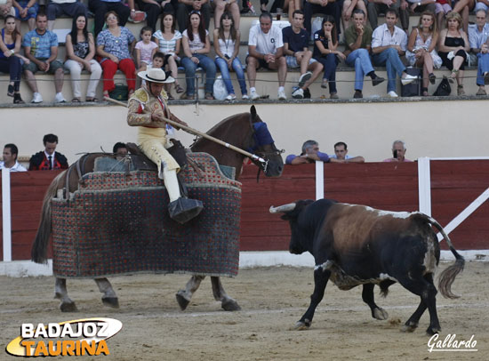 El quinto arrancándose al caballo.