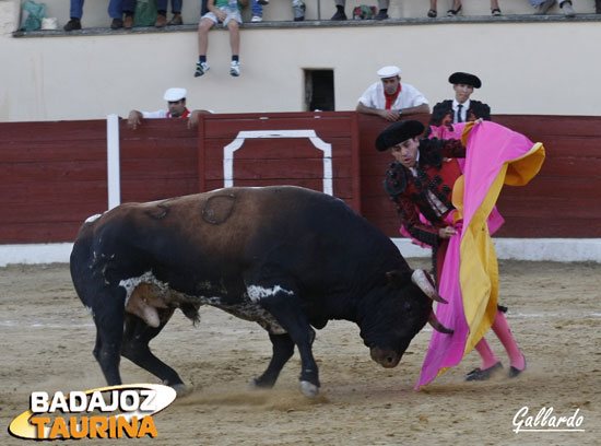 Fernando González bregando con tiento.