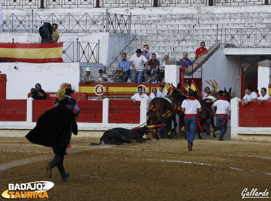 ¡Quillo, espera que no he cortado la oreja! (verídico)