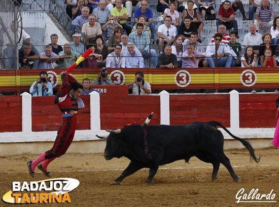 Un torbellino en banderillas. (FOTO: Gallardo)