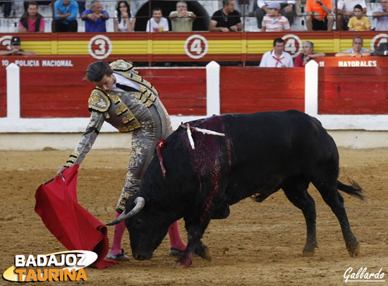 Y sacó algunos muletazos con la diestra de buen corte.