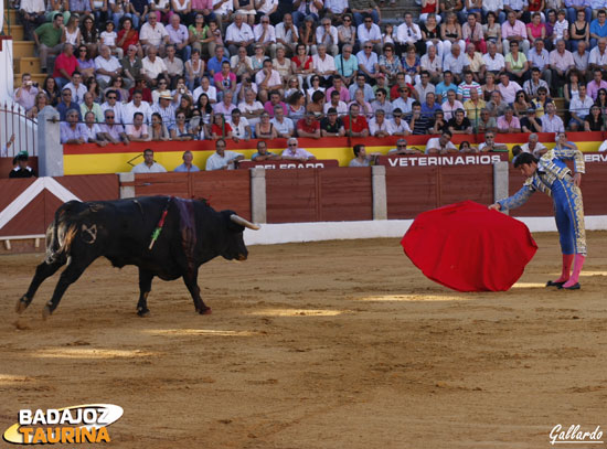 Citando de lejos, otra marca más del extremeño.