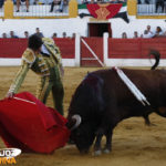 Cayetano templando a uno de sus toros. (FOTO:Gallardo)