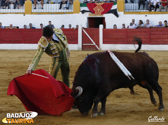 Cayetano templando a uno de sus toros. (FOTO:Gallardo)