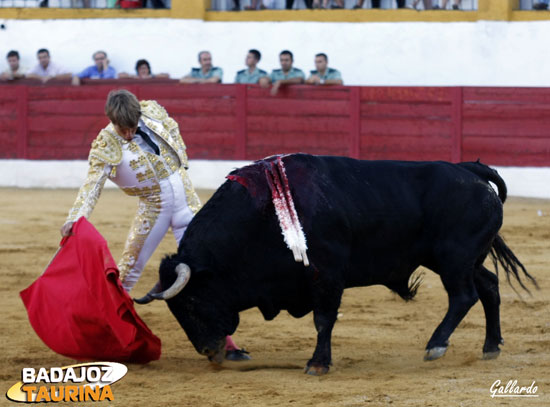 Manuel llevando al quinto imantado en su muleta.