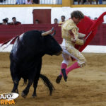 El salto de la rana continúa vigente. (FOTO:Gallardo)