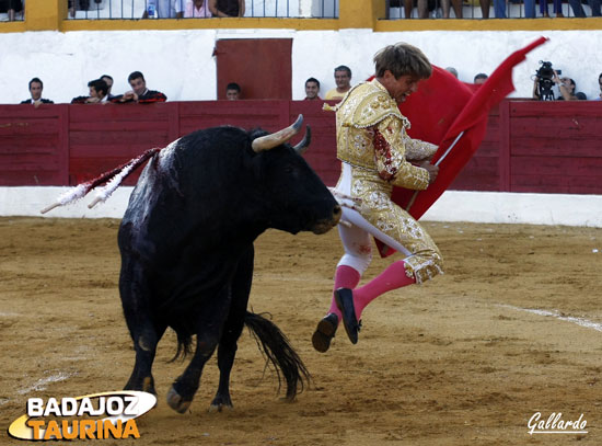 El salto de la rana continúa vigente. (FOTO:Gallardo)