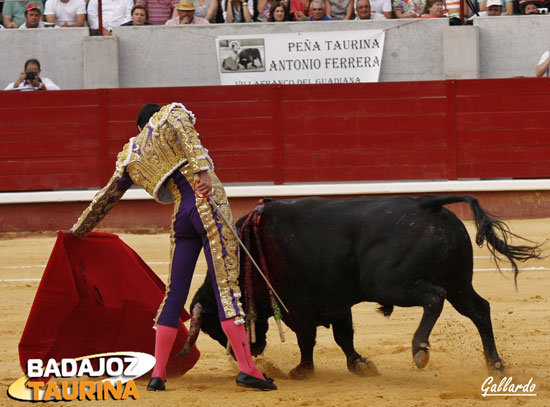 Mandando en el toreo fundamental sobre la izquierda.