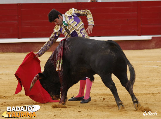 Con la derecha, toreando en redondo.