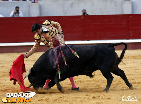 Buen pase y excelente tranco del toro al coger la muleta.