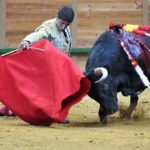 Cerro en la primera de Arnedo. (FOTO: Poyatos/mundotoro.com)