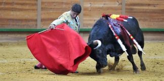 Cerro en la primera de Arnedo. (FOTO: Poyatos/mundotoro.com)