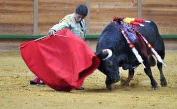 Cerro en la primera de Arnedo. (FOTO: Poyatos/mundotoro.com)