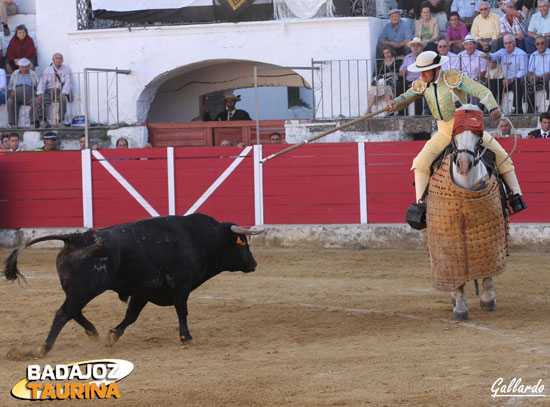 Tirando el palo para sujetar al toro.