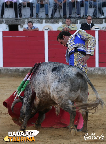 Muy encajado en el toreo con la diestra.