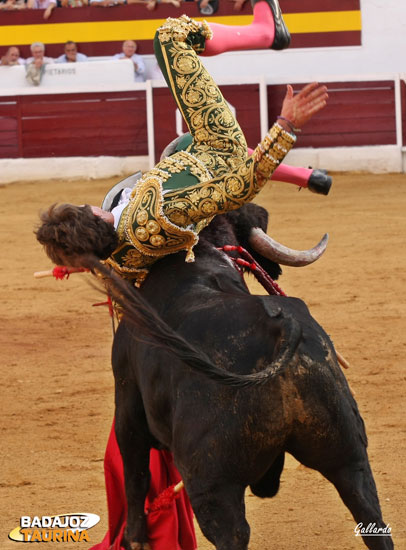 Voltereta a Tomás Angulo.