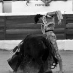 Sentimiento en el muletazo de Silva. (FOTO: Gallardo)