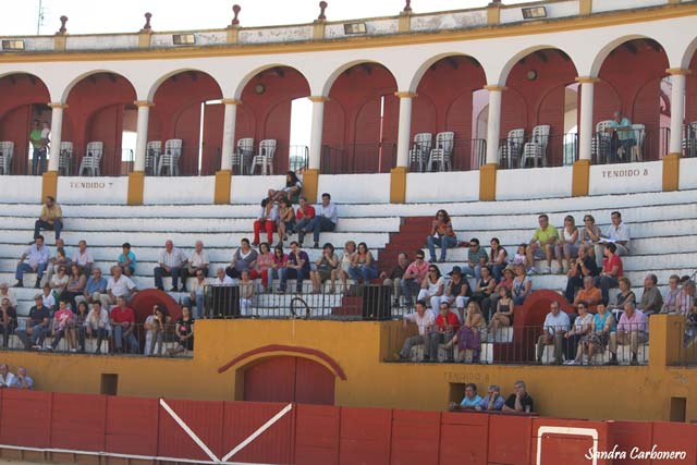 Los socios de la peña observando el devenir de la lidia. (FOTO:Sandra Carbonero)