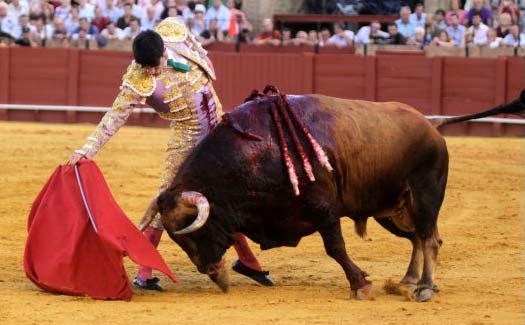 Talavante en Sevilla.(FOTO: Maurice Berho/mundotoro.com)