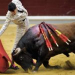 Talavante en Logroño. (Foto: Poyatos/mundotoro.com)