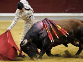 Talavante en Logroño. (Foto: Poyatos/mundotoro.com)