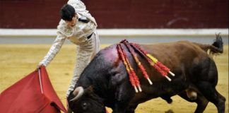 Talavante en Logroño. (Foto: Poyatos/mundotoro.com)