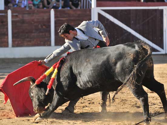 Miguelín Murillo.