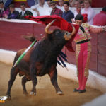 Torerísimo inicio de faena de Morante. (FOTO:Gallardo)