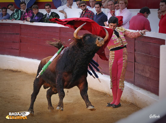 Torerísimo inicio de faena de Morante. (FOTO:Gallardo)