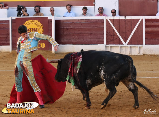 Variedad en los cites de Alejandro. (FOTO:Gallardo)