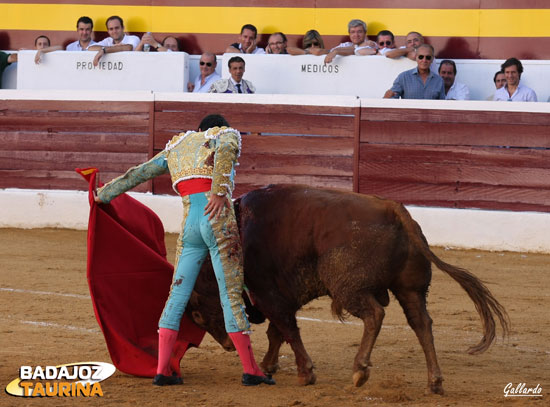 Capetillina de Talavante. (FOTO:Gallardo)