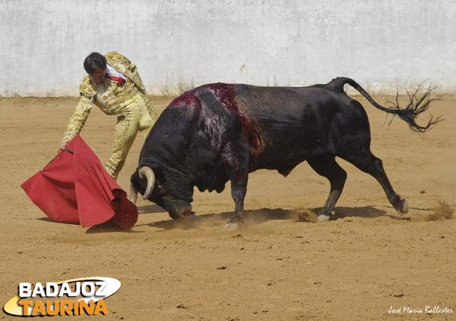 Solís toreando un toro en la ganadería de Carriquiri. (FOTO:J.M. Ballester)