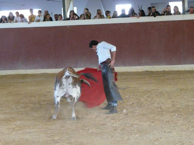 Que no humillaba y embestía a oleadas.