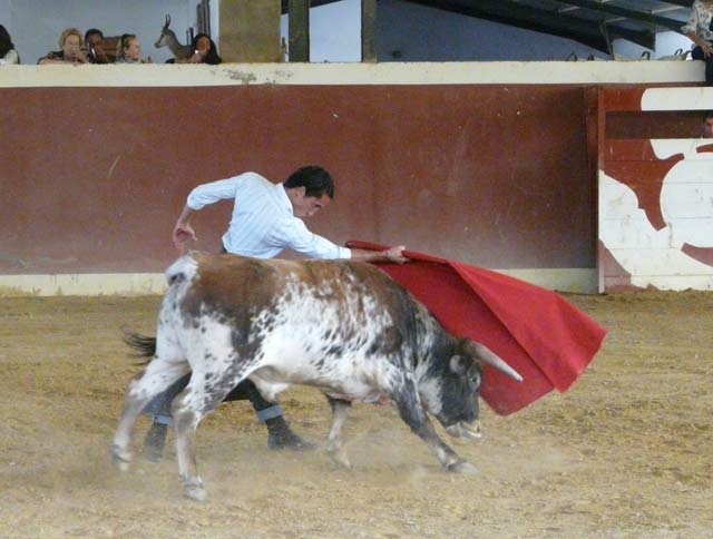 Y solo en los remates y en naturales sueltos pudo lucirse.