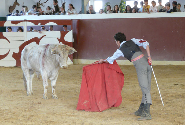 Posada de Maravillas ante el astado de Marca. (FOTO:Verónica Delgado)