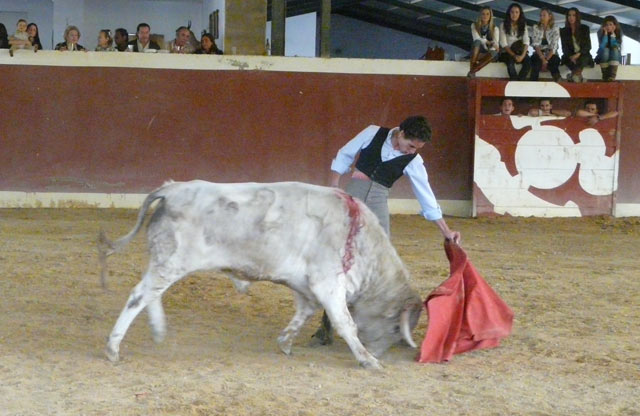 Y trayéndole imantado en los vuelos de su muleta.