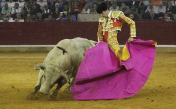 Talavante en Zaragoza. (FOTO:Juan Ríos-mundotoro.com)