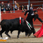 Miguel Murillo roto toreando al natural. (FOTO:Gallardo)
